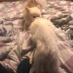 Meet your Posher, Ricardo